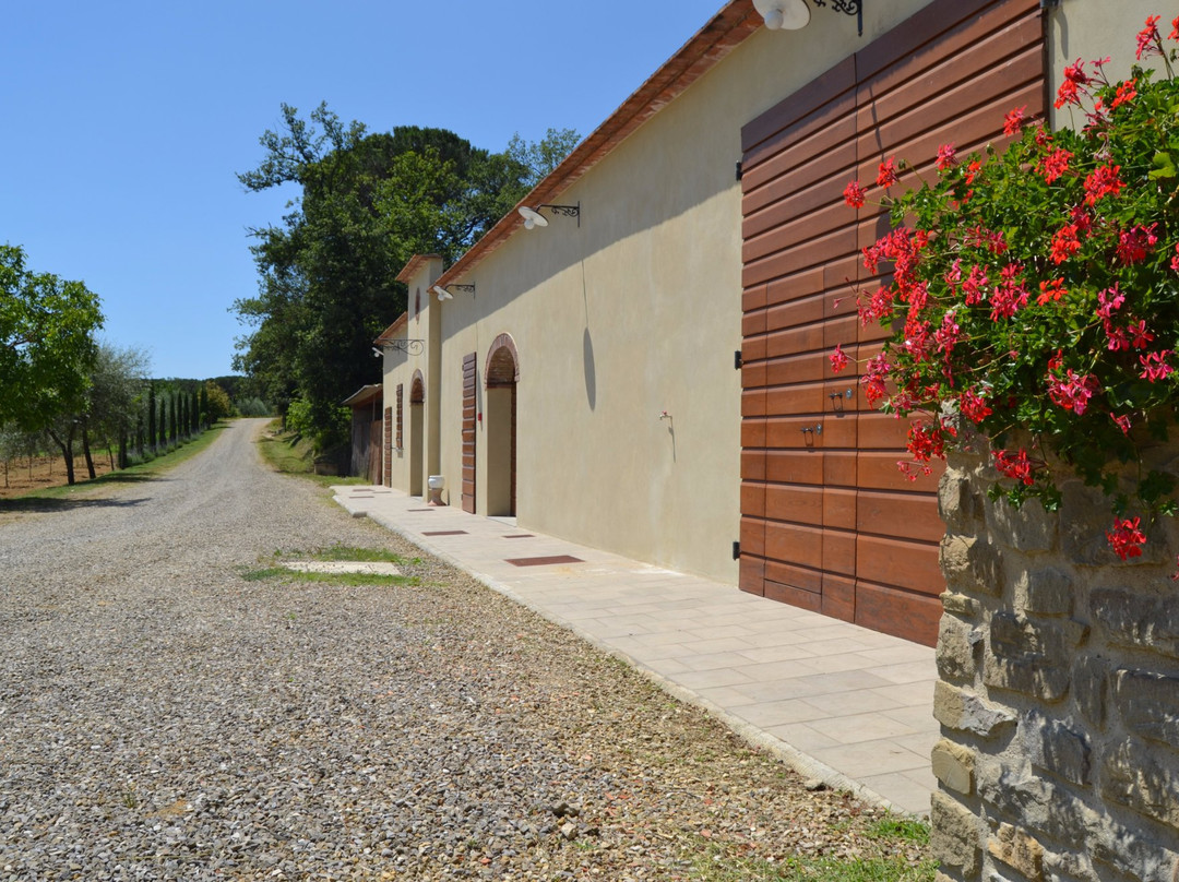 Cantina Tenuta La Pineta景点图片