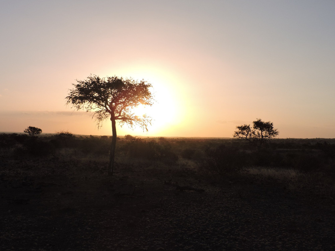 Cheno Travel & Safari Tour景点图片
