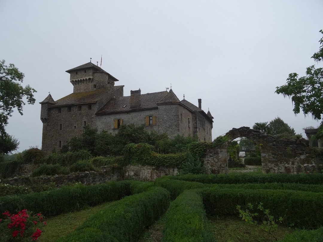 Chateau d'Avully景点图片