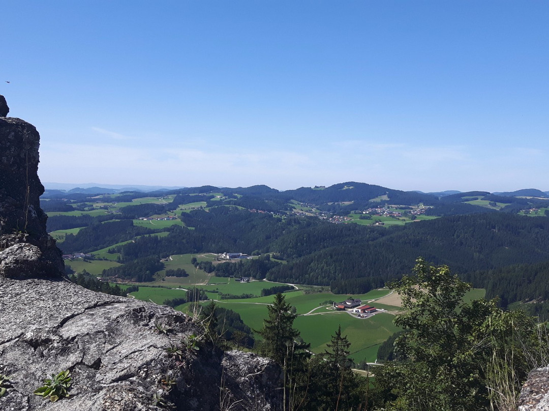 Burgruine Ruttenstein-Niederhofstetten必去景点