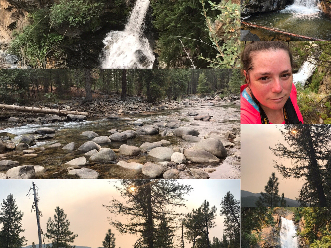 Falls Creek Falls Trail Head景点图片