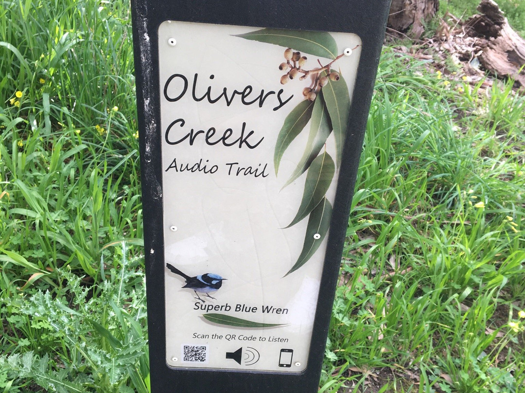 Olivers Creek Bushland Reserve景点图片