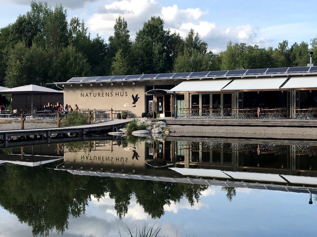 Oset och Rynningevikens naturreservat景点图片