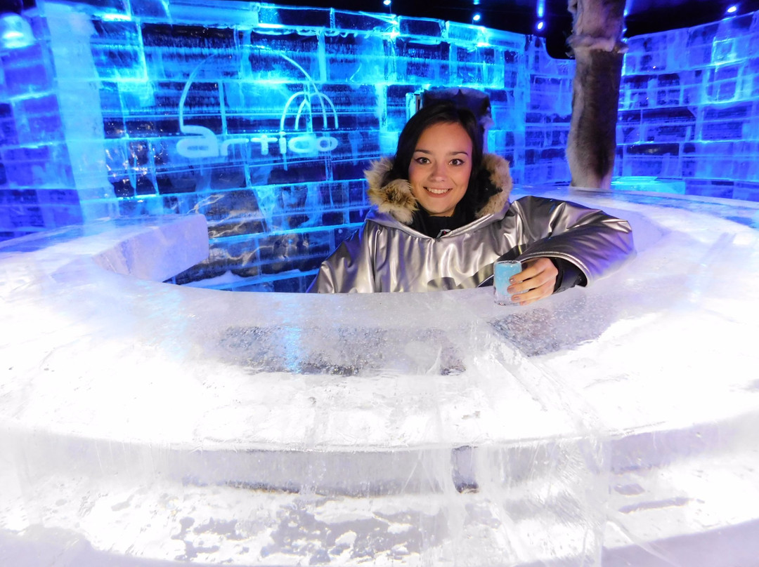 Artico Icebar-霍宁斯沃格必去景点
