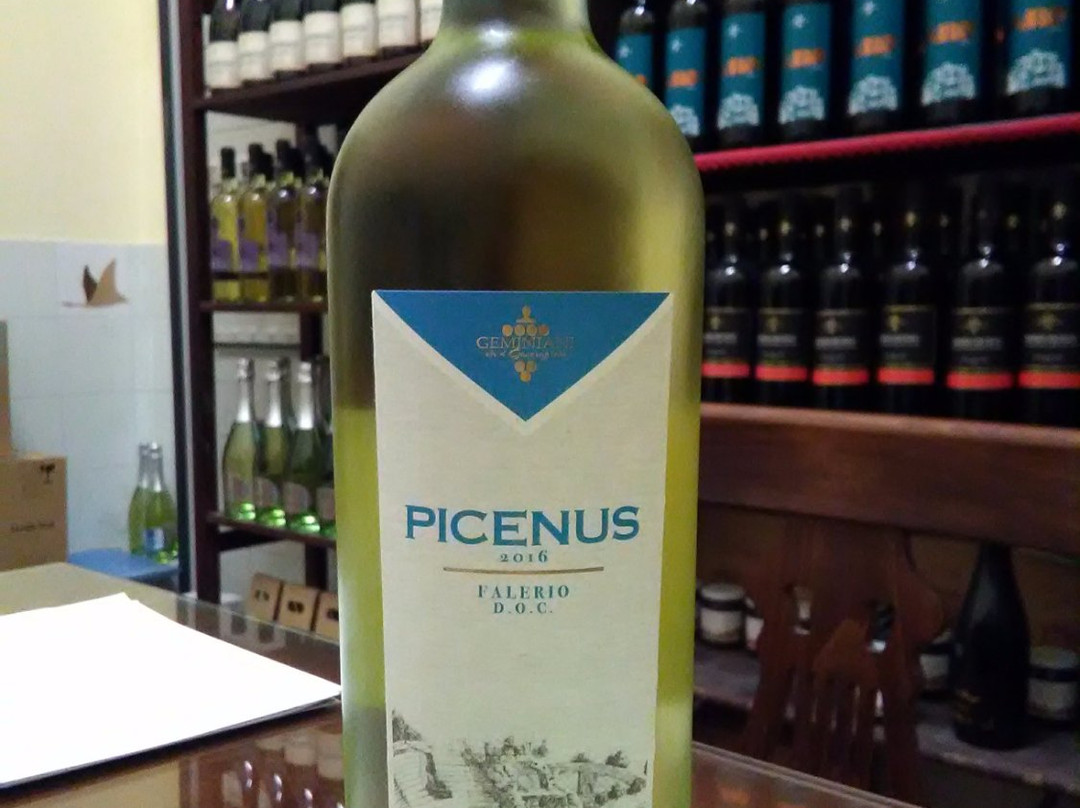 Casa Vinicola Geminiani景点图片