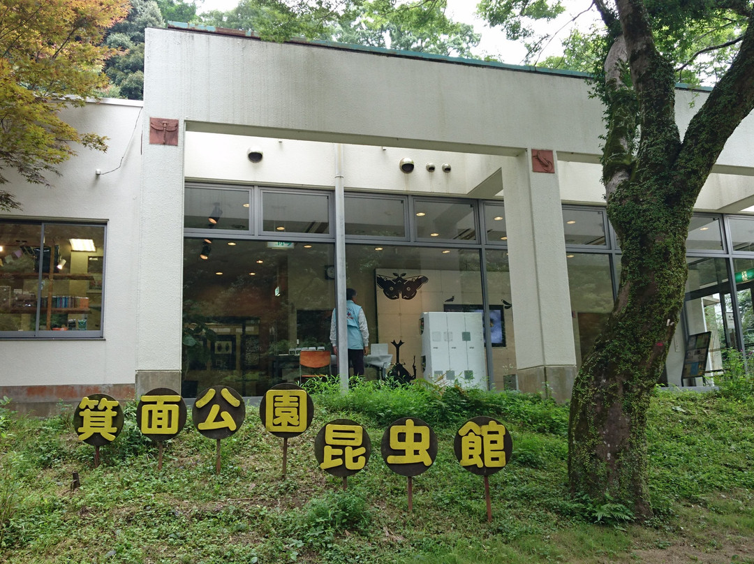 Mino Park Museum of Insects-美浓市必去景点