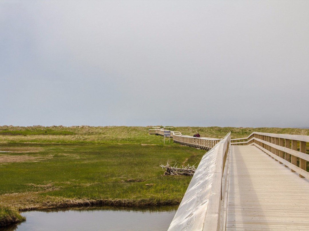 Conrad's Beach-Lawrencetown必去景点
