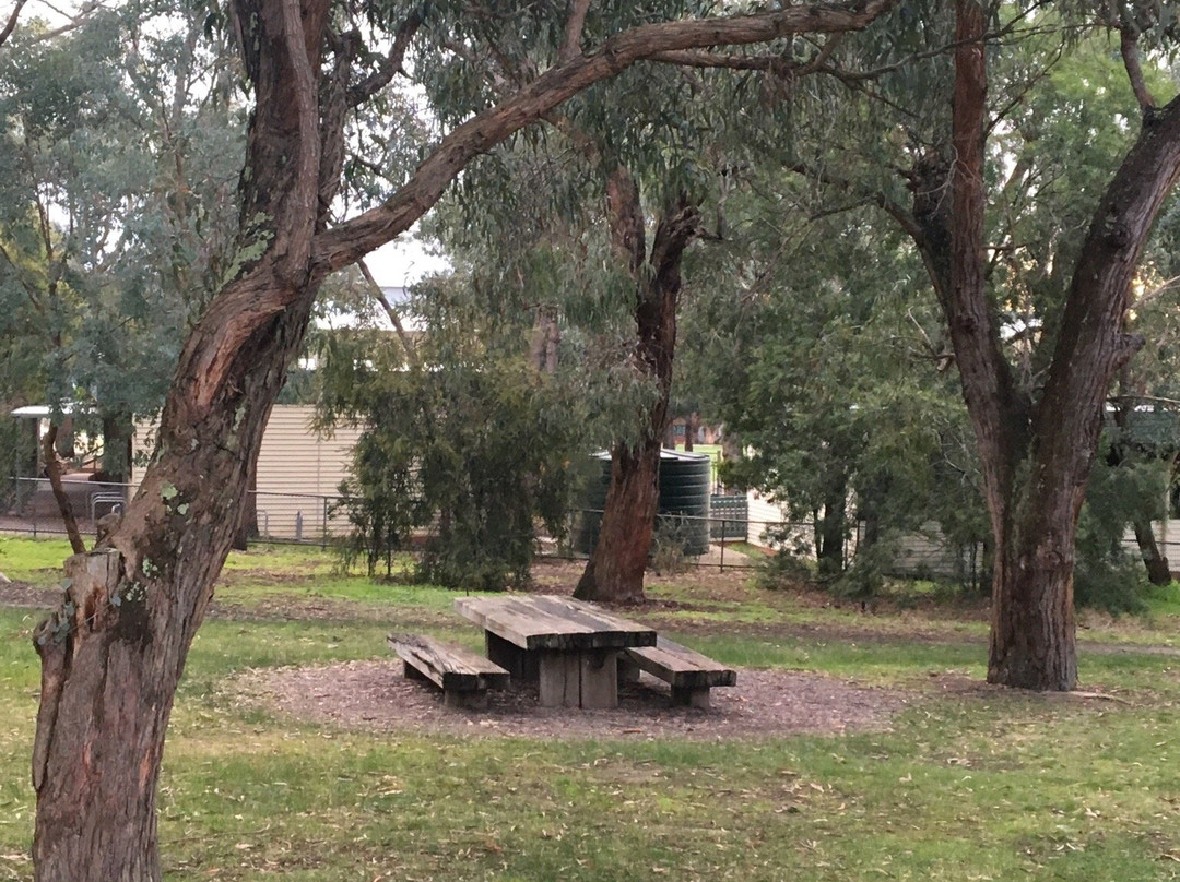 Antonio Park-Mitcham必去景点