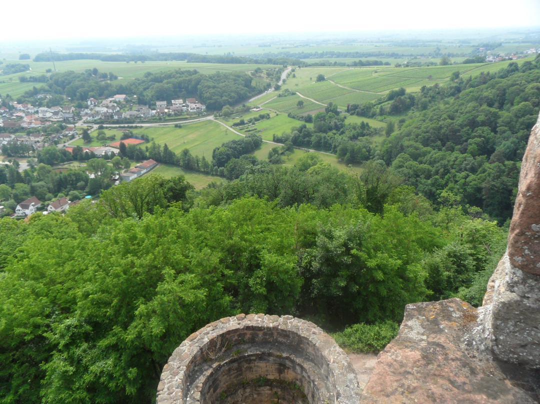 Klingenmunster旅游攻略图片