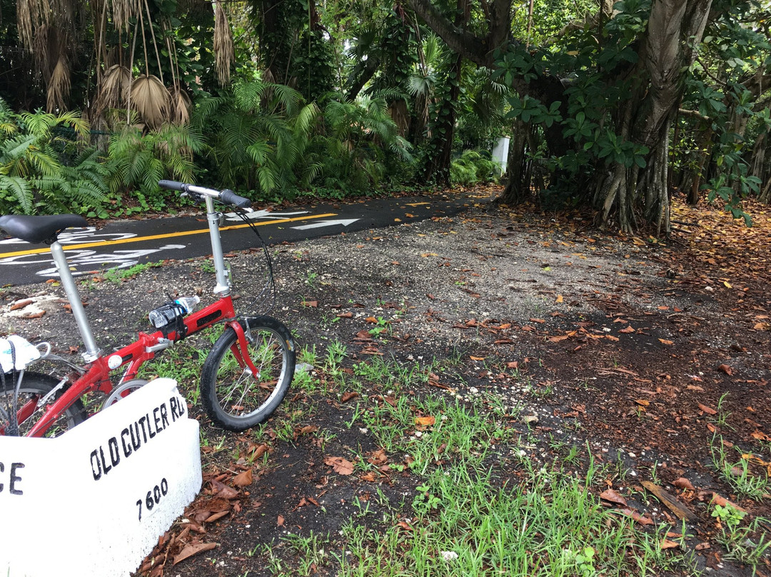 Old Cutler Trail-科勒尔盖布尔斯必去景点