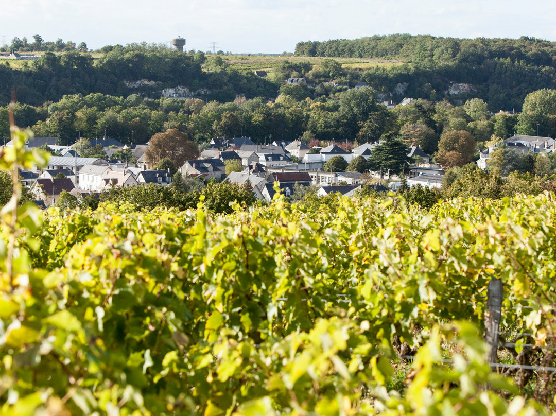 Domaine Vincent Carême景点图片