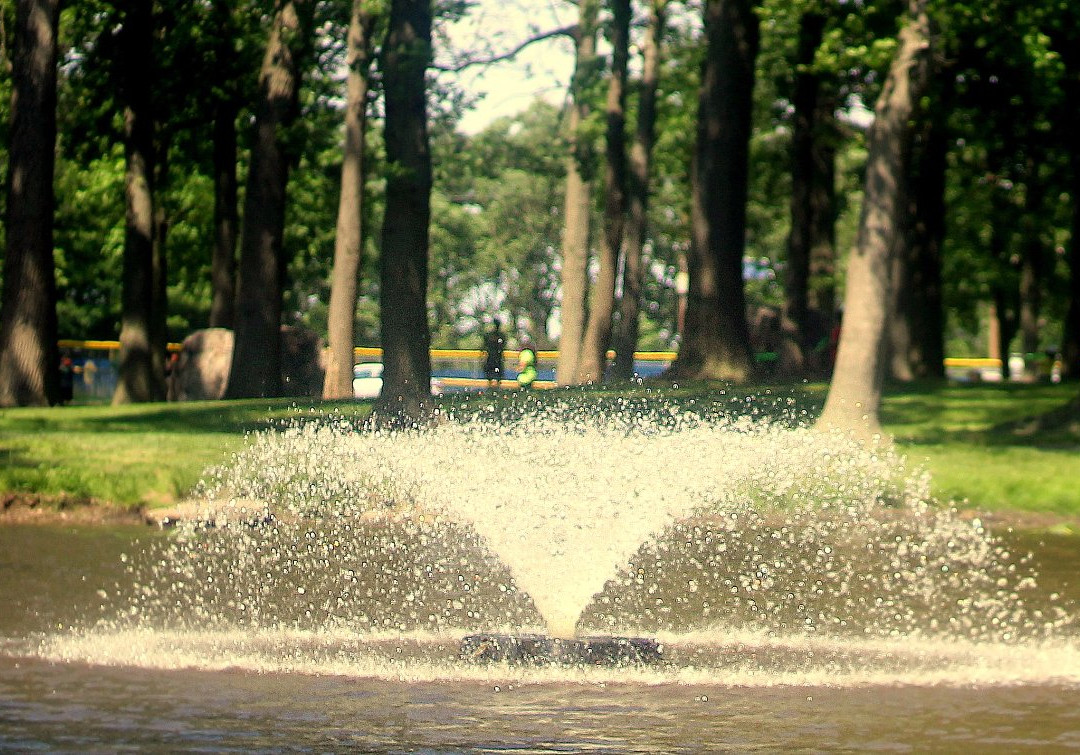 Fords Park景点图片