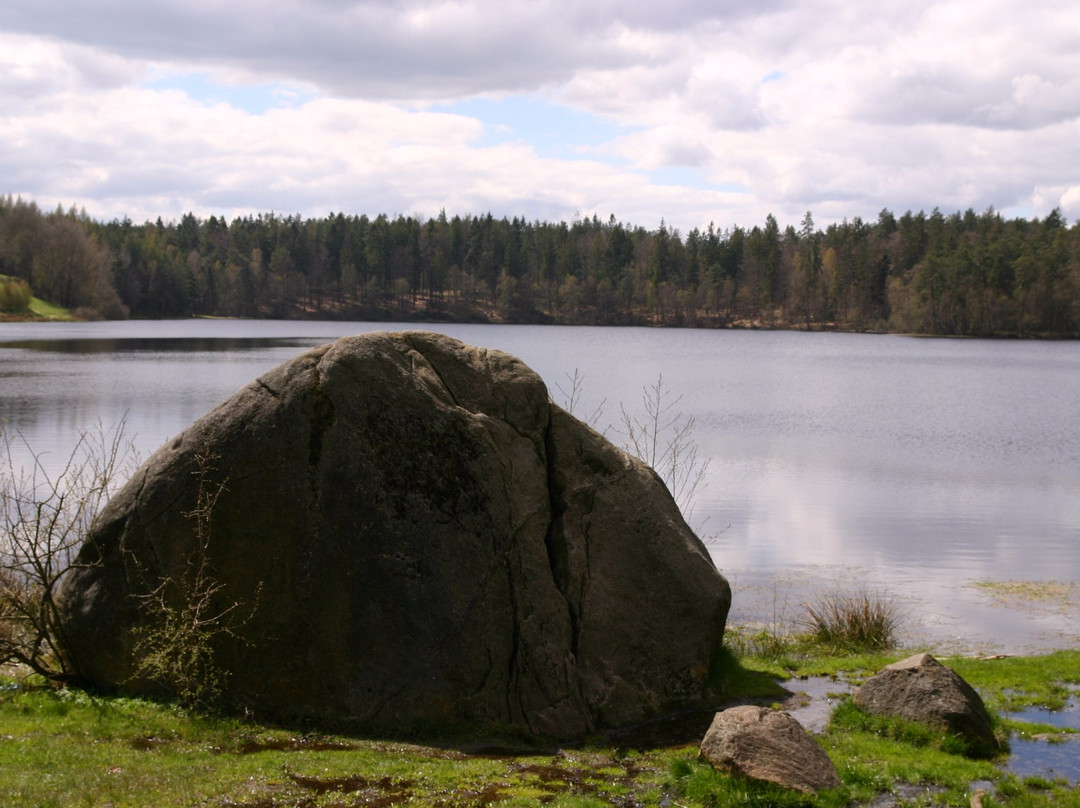 Devil's Stone in the Żurawie Błota Reserve景点图片