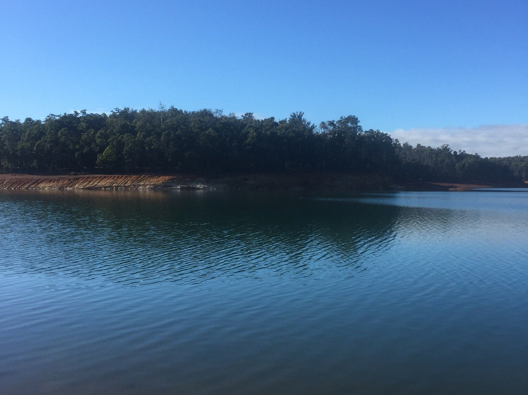 Lake Navarino Forest Park景点图片