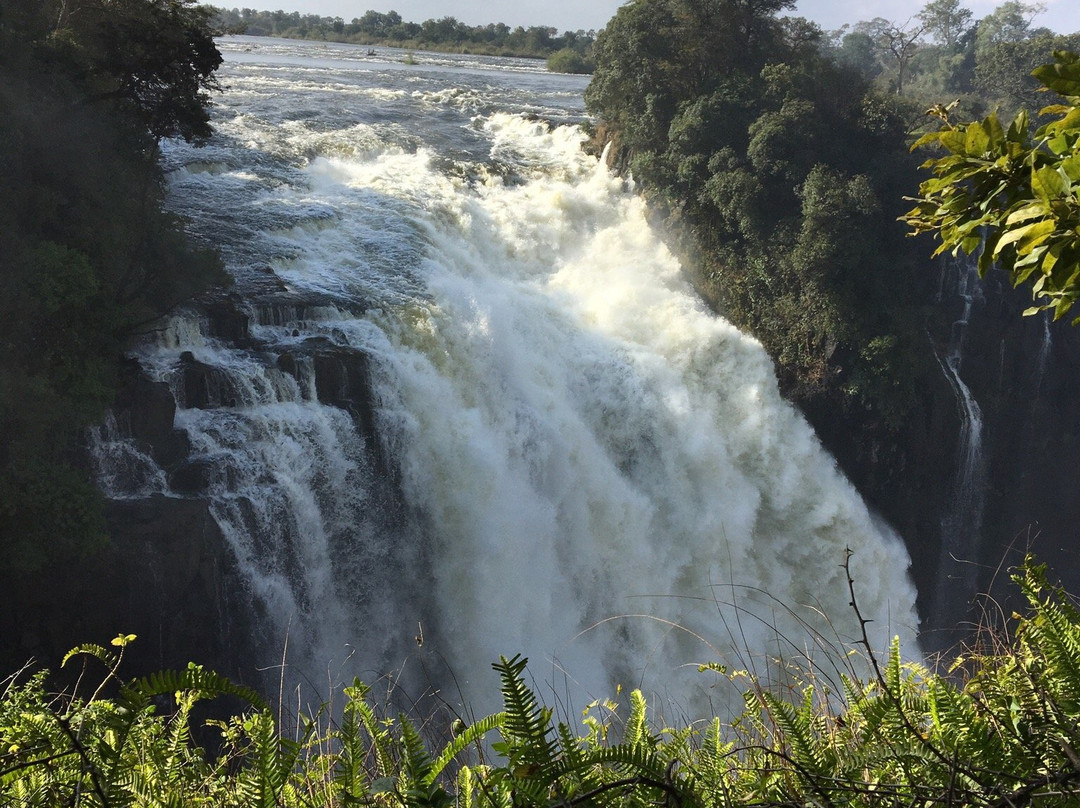 Victoria Falls Hotels & Tours主图