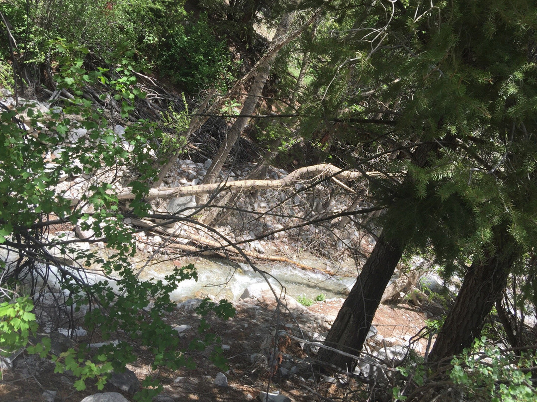 Agnes Vaille Falls-Nathrop必去景点