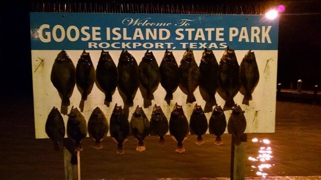 Night Stalker Guide Service-罗克波特必去景点