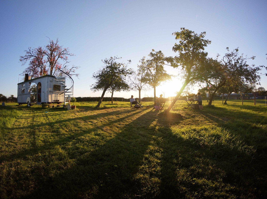 The Glamping Orchard