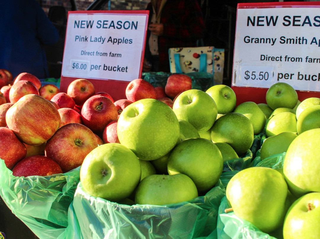 Toowoomba Farmers Market-图沃柏必去景点