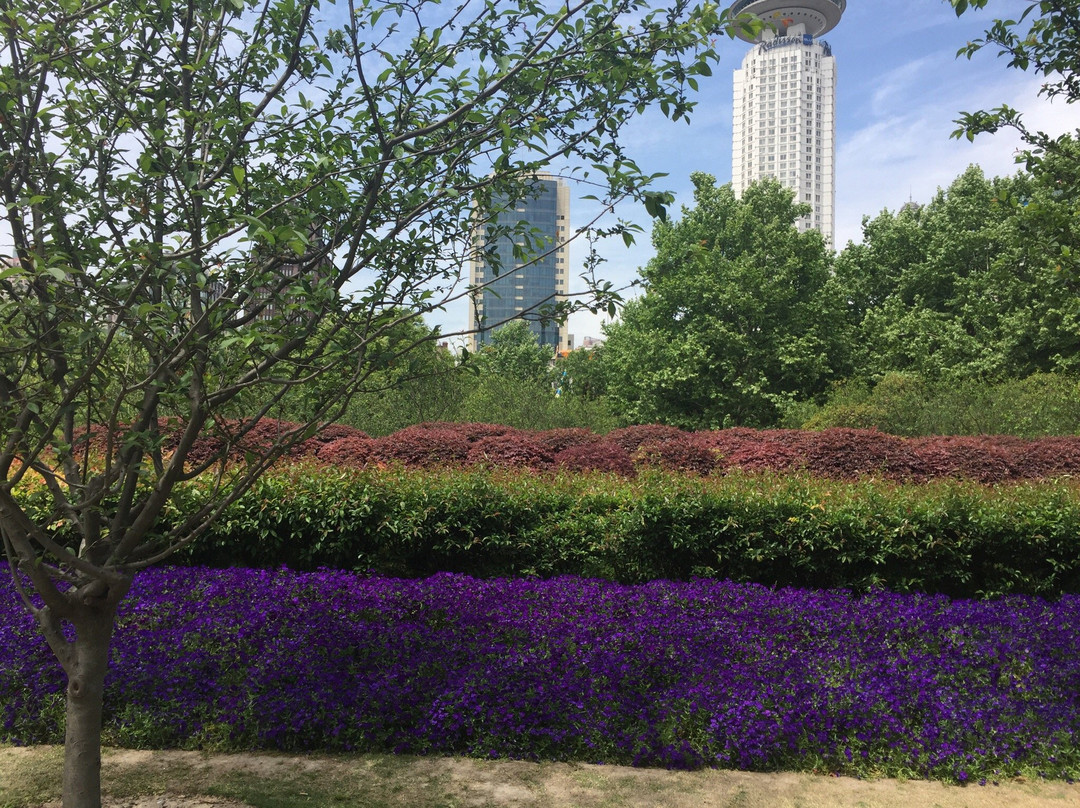 商丘人民公园景点图片
