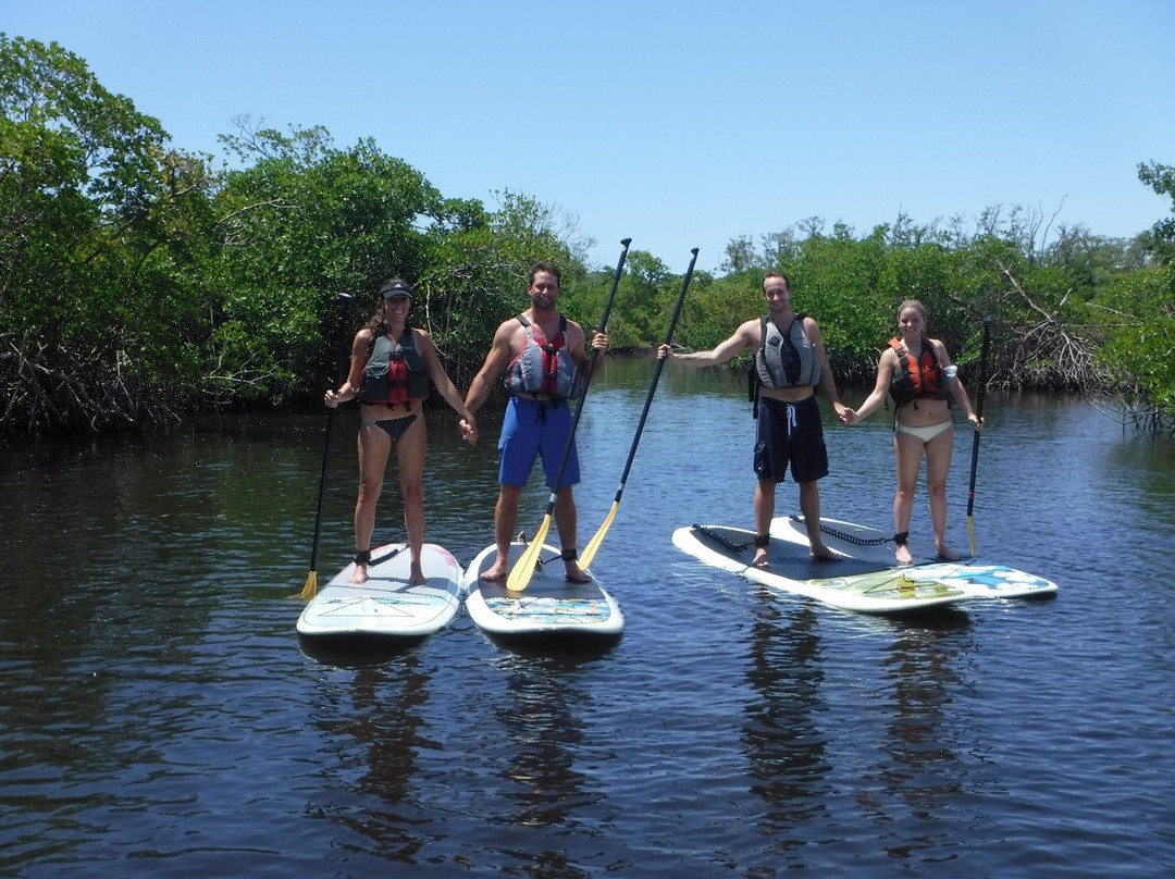 Paddleboard Connection-莱克沃思必去景点