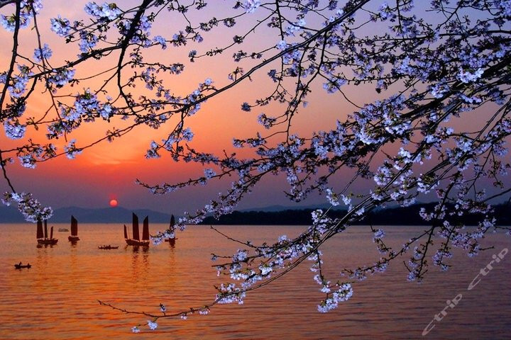 猫的天空之城概念书店(无锡南长街店)-无锡市必去景点