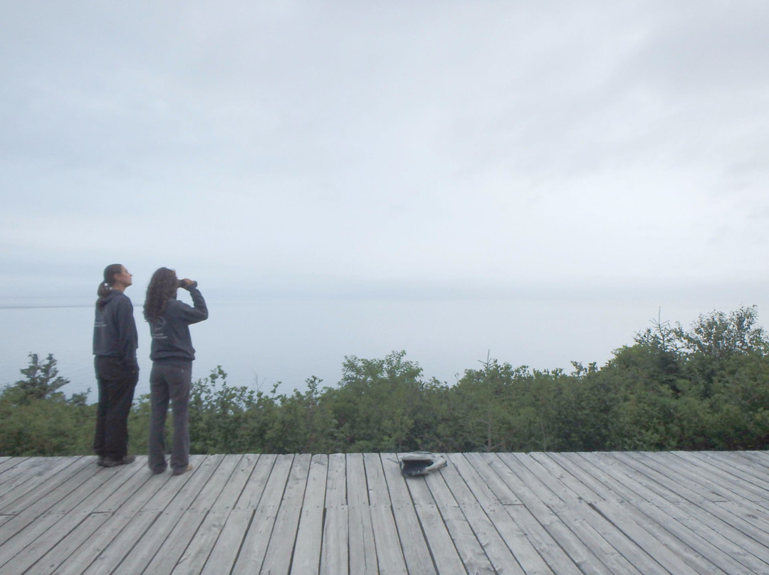 Thomas B. Munro Memorial Nature Preserve-Grand Manan必去景点