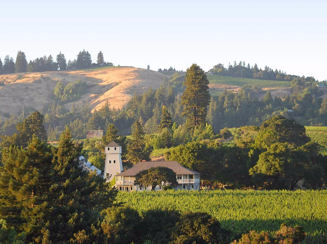 Handley Cellars Winery景点图片