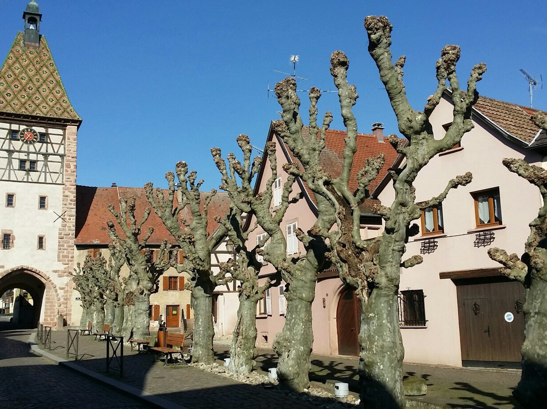 La Maison des Sorcieres景点图片