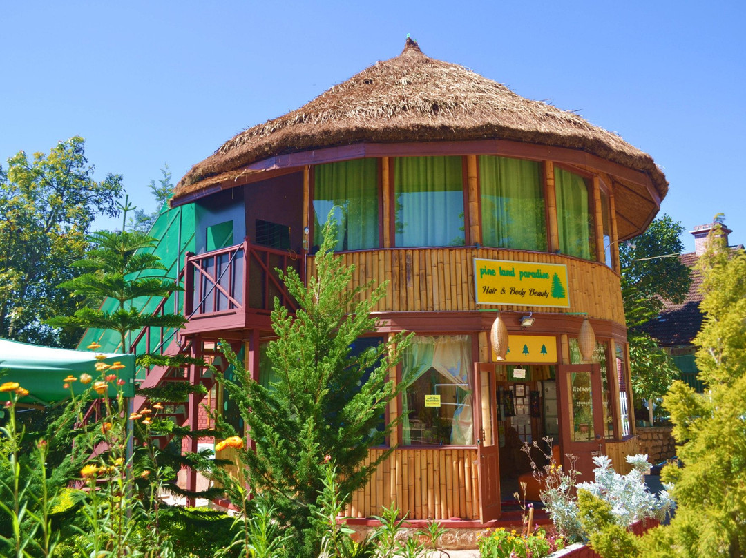 格劳旅游景点-Pine Land Paradise Spa