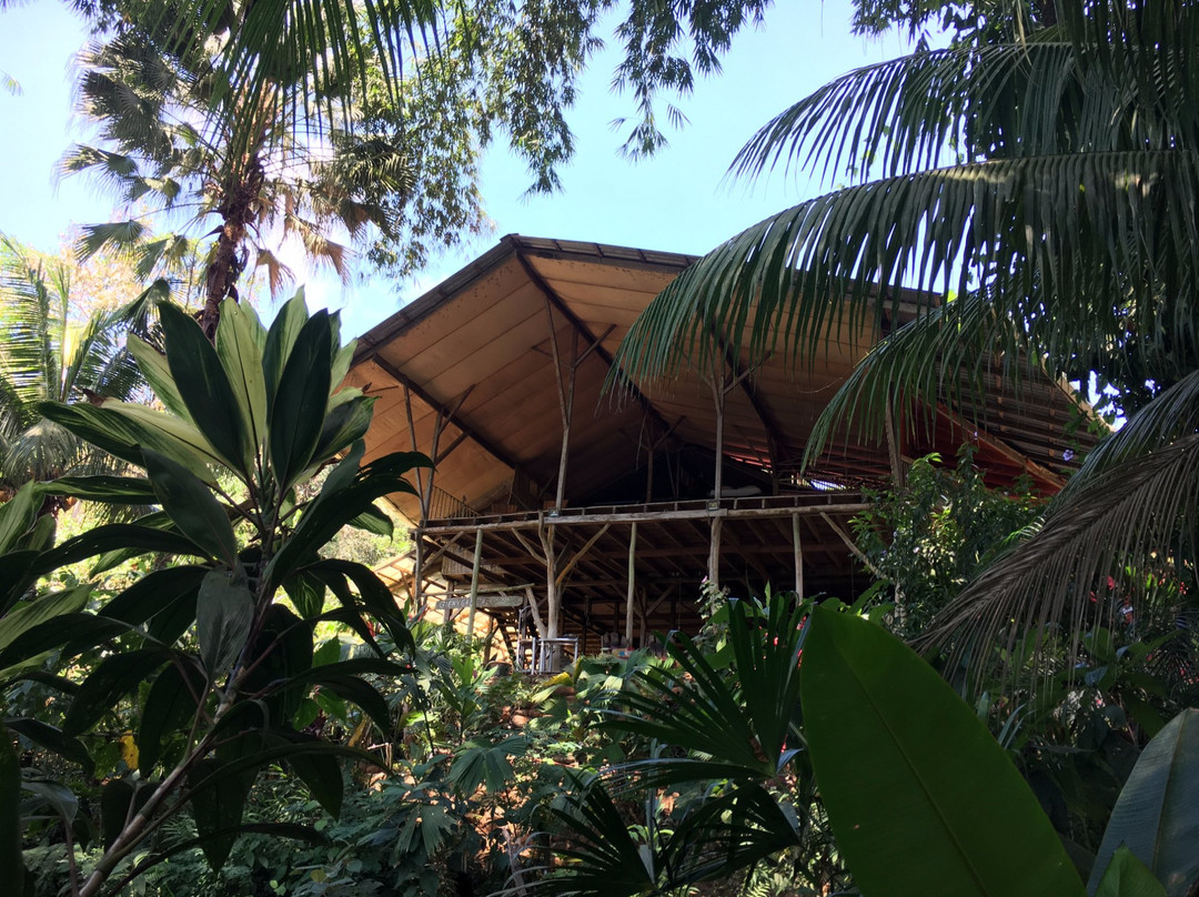 Hostel Cascada Verde
