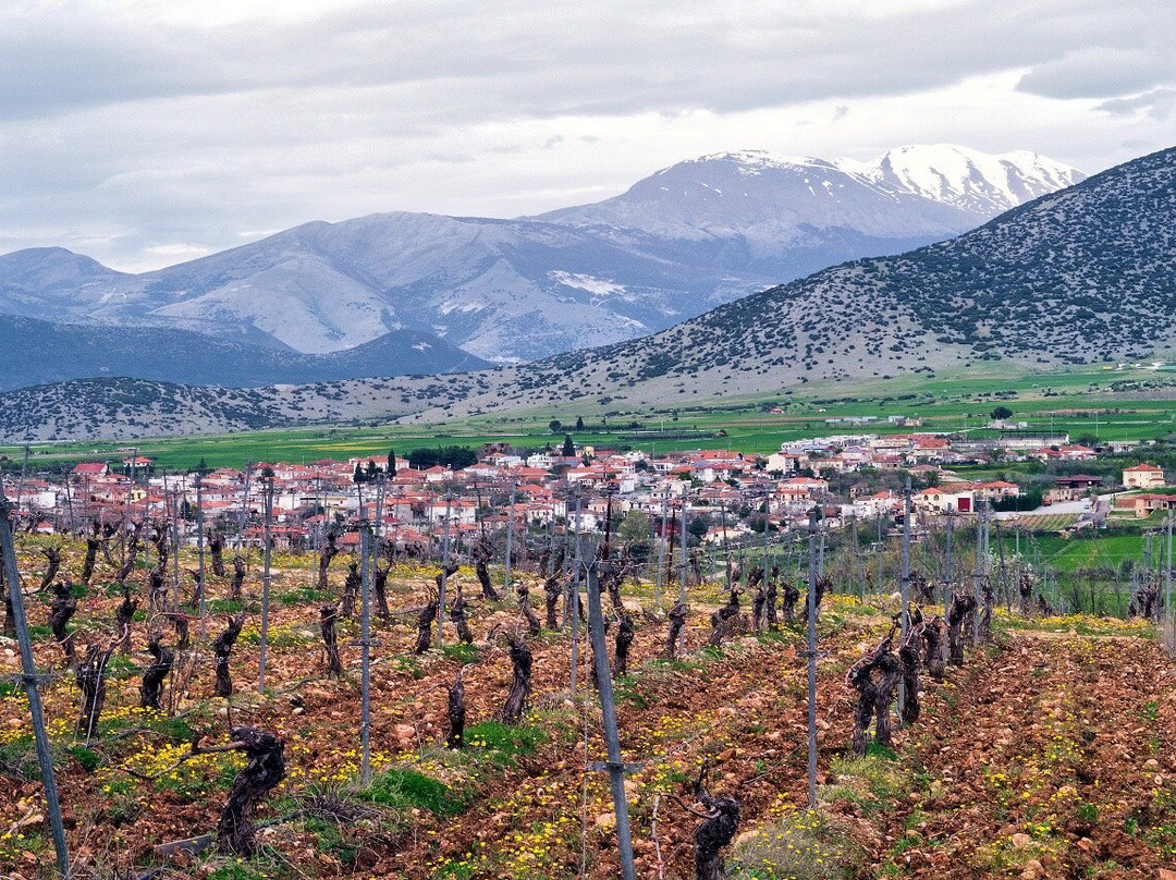 Château Nico Lazaridi Winery景点图片