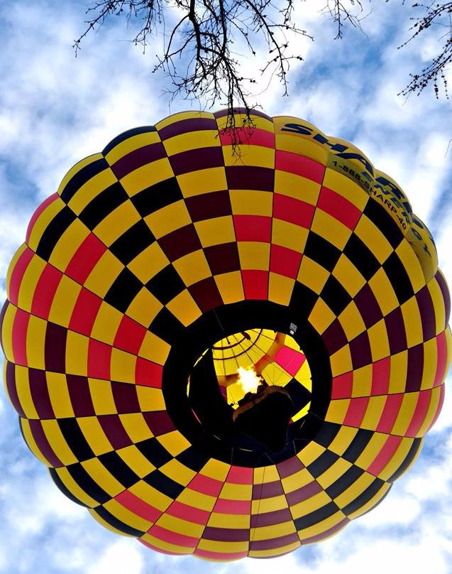 Delmarva Balloon Rides景点图片