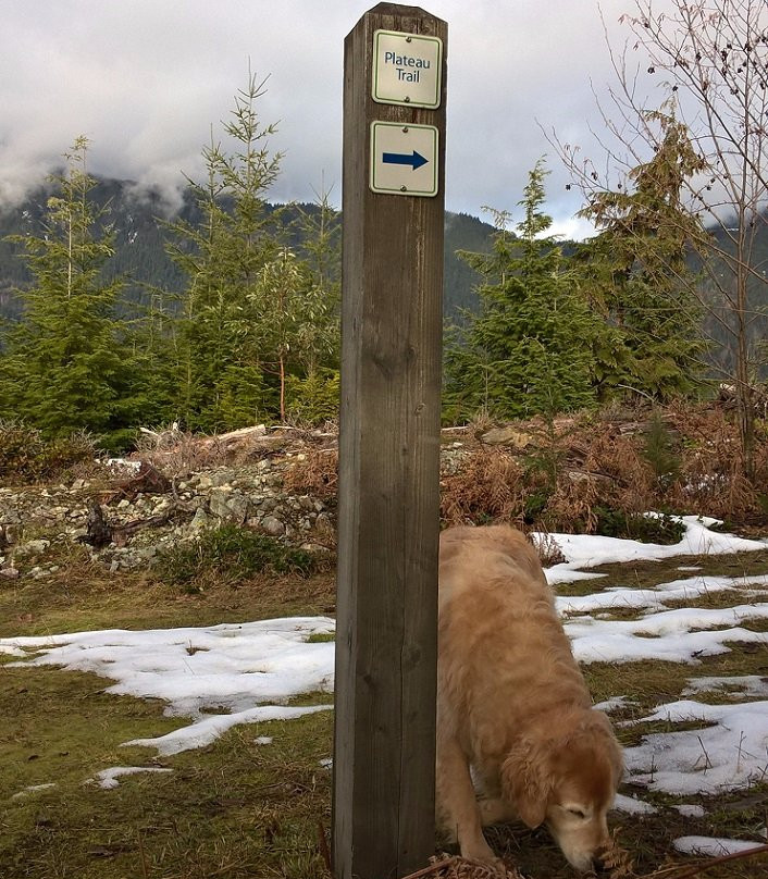 Bald Mountain Park景点图片