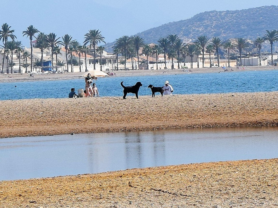 Playa de Las Moreras景点图片