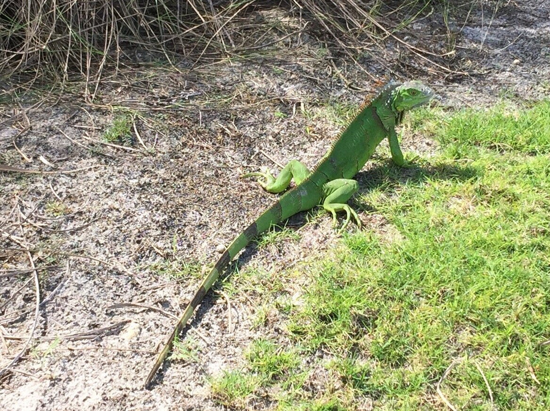 Plantation Preserve Golf Course-种植园必去景点