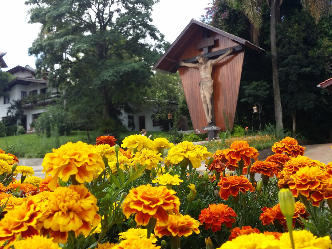 Cristo Na Cruz景点图片