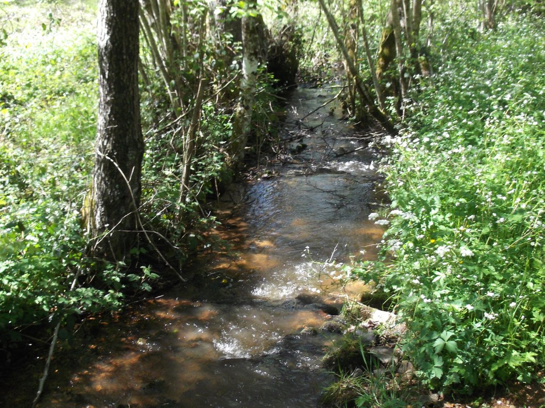 L'Ecrin de Brierat-Saint-Priest-la-Prugne必去景点