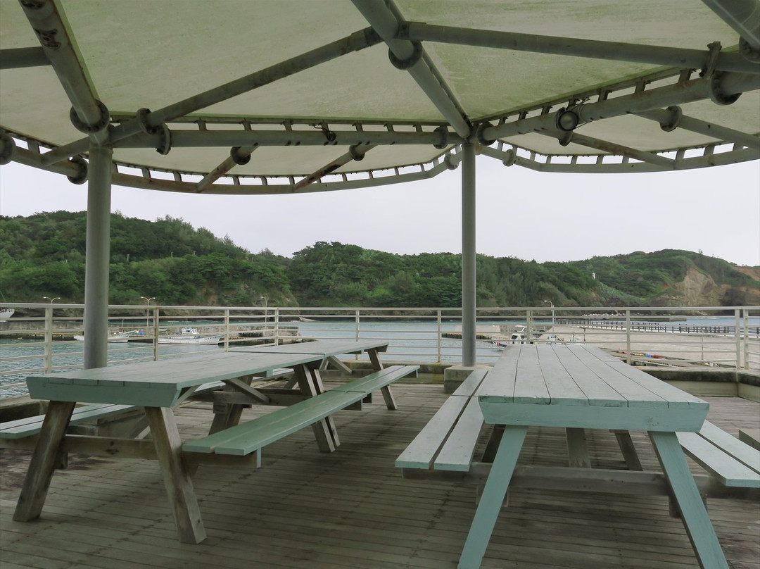 Club Noah Hahajima-小笠原村必去景点