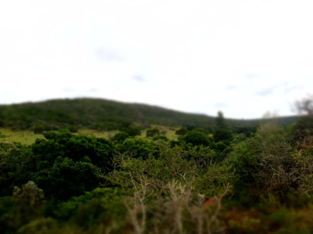 Lushington Valley Reserve景点图片