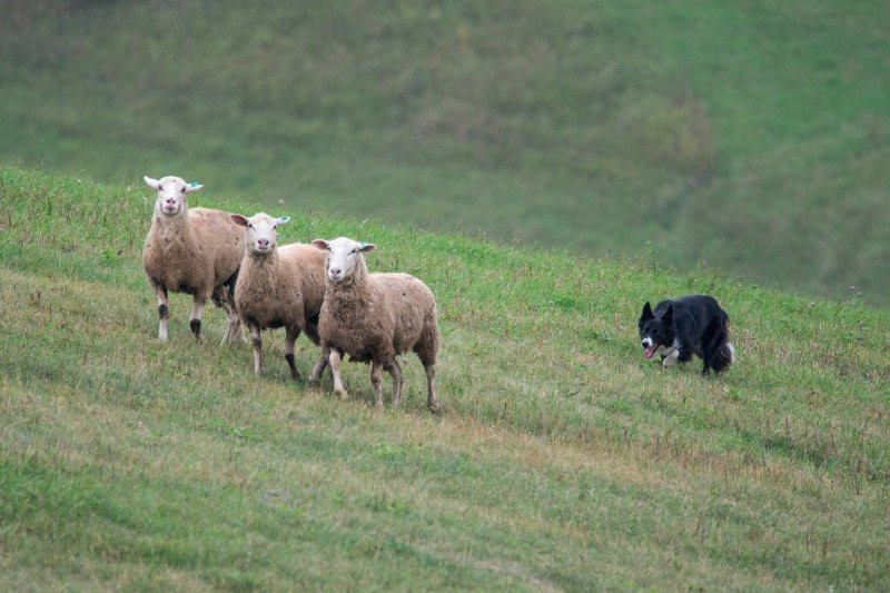 Badlands Sno Park-Hudson必去景点