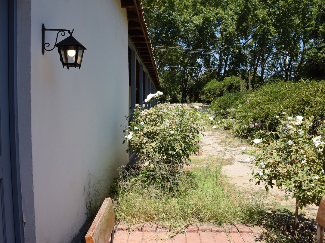 Noi Blend Colchagua主图