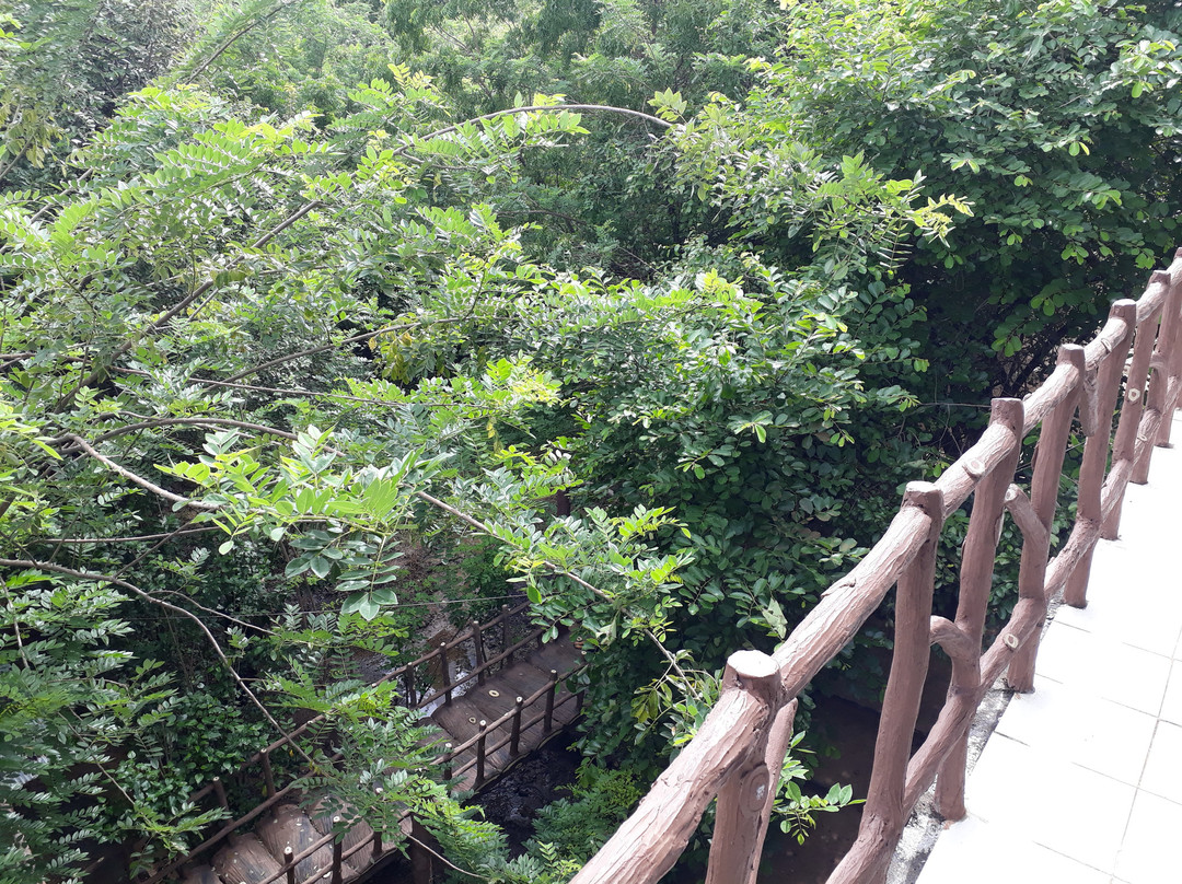 Sunitha Guest House & Hotel主图