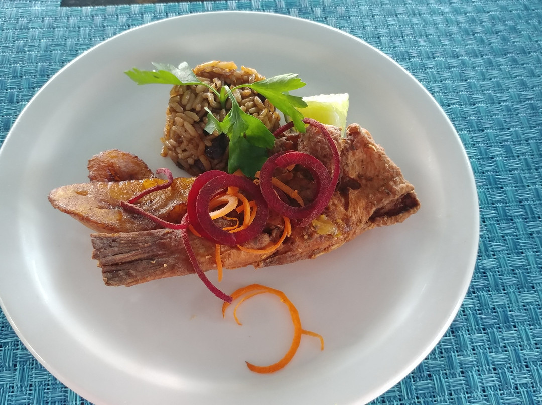 Taste of TCI  Food Tours-普罗维登西亚莱斯必去景点