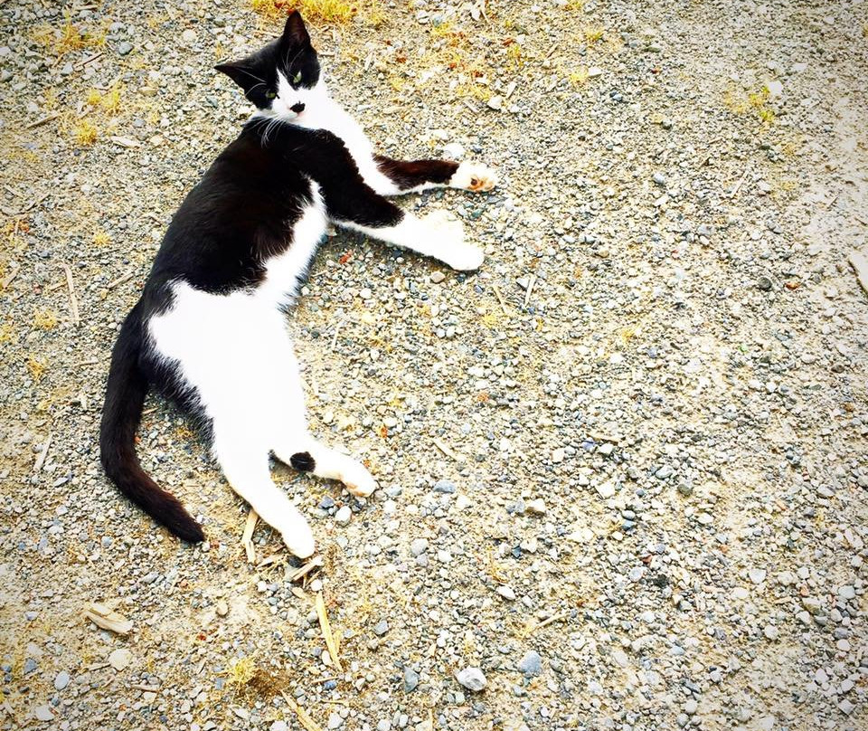 Seattle Distilling-Vashon必去景点