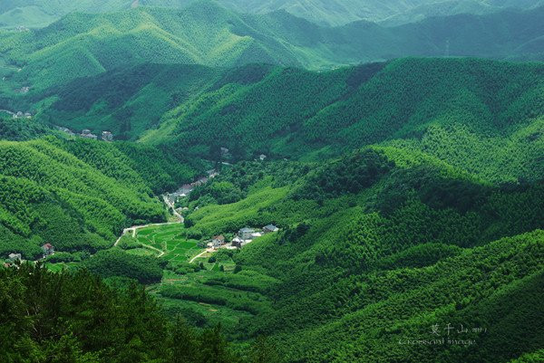 莫干山大乐之野主图