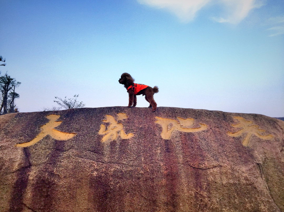 安吉江南天池景点图片