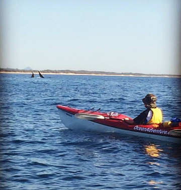 Ocean Adventure Sea Kayaking-卡伦德拉必去景点