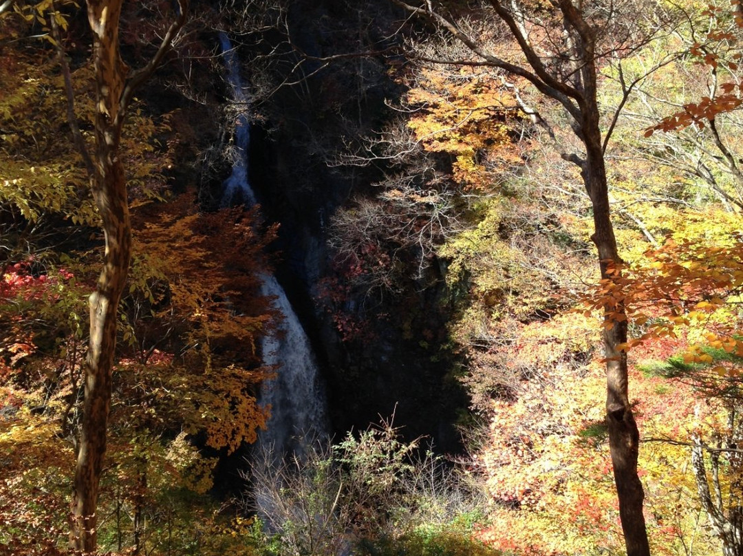 Konaka Falls景点图片