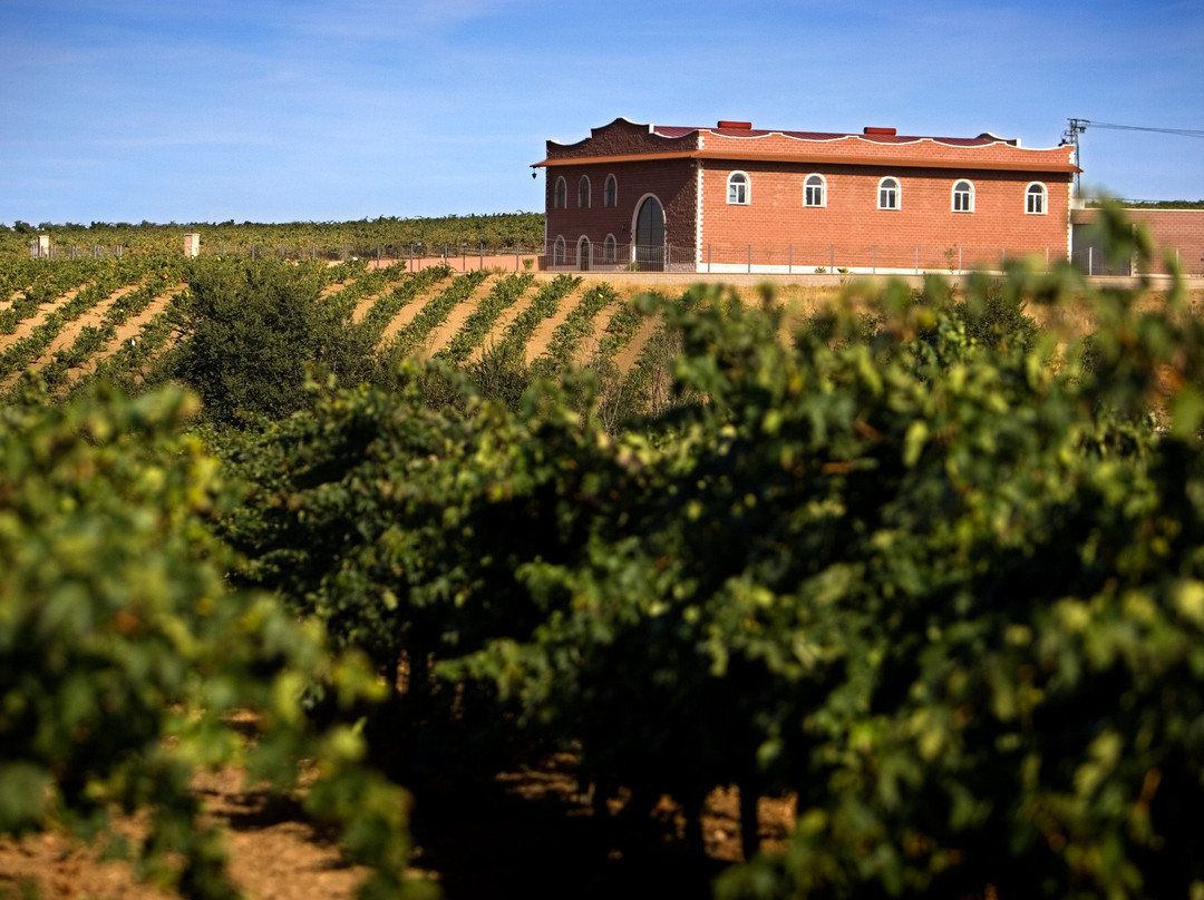 Bodega Pago de Las Encomiendas景点图片
